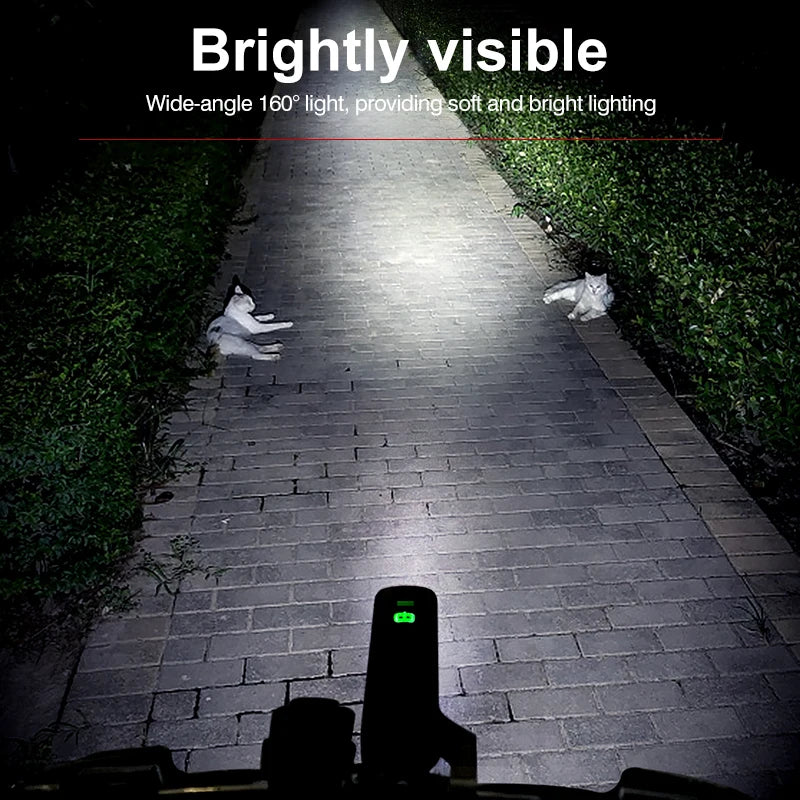 Rechargeable Bicycle Flashlight